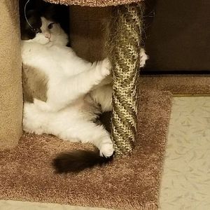 Meet your Posher, Lila